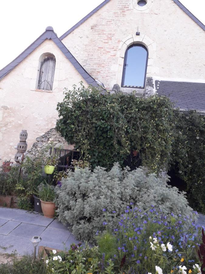 Gite Familial La Tabarderie Courcelles-de-Touraine Esterno foto